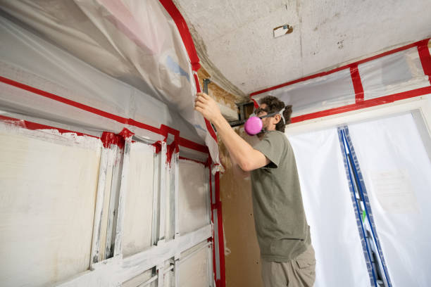 Mold Removal for HVAC Installations in Sissonville, WV